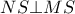 NS \bot MS