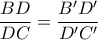 \dfrac {BD}{DC} = \dfrac {B'D'}{D'C'} 