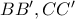 B{B}',C{C}'