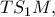 TS_{1}M,