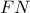 \displaystyle{ FN }