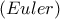 \displaystyle{ 
\left( {Euler} \right) 
}