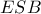 \displaystyle{ESB}