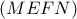 \displaystyle{(MEFN)} \displaystyle{(MEFN)}