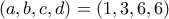 (a,b,c,d)=(1,3,6,6)